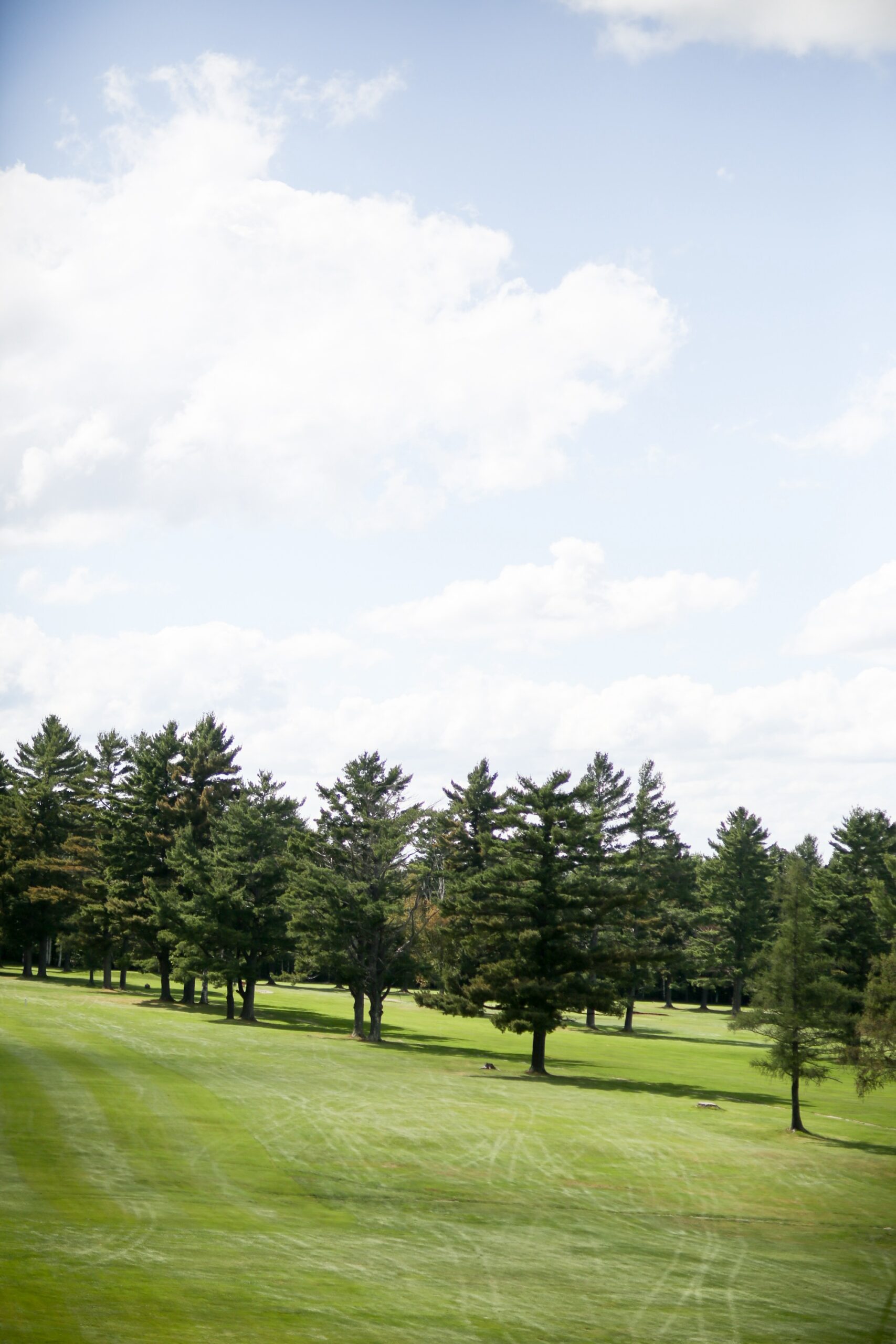 Rodeo & Co photo credit. The Maplewood Golf Course in the summer.